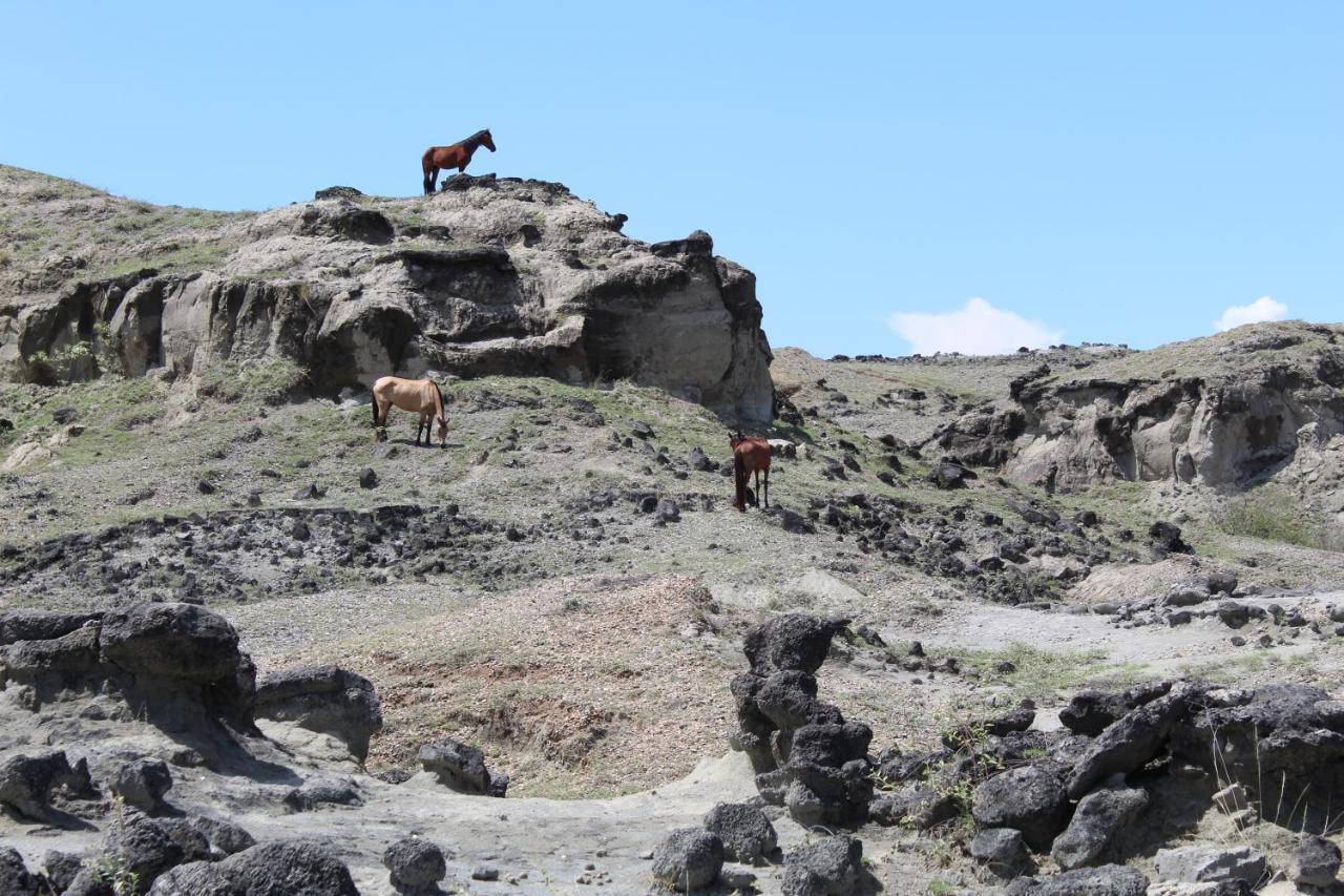 La Victoria  Pachingo Tatacoa Desert מראה חיצוני תמונה